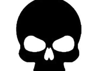 2D_skull